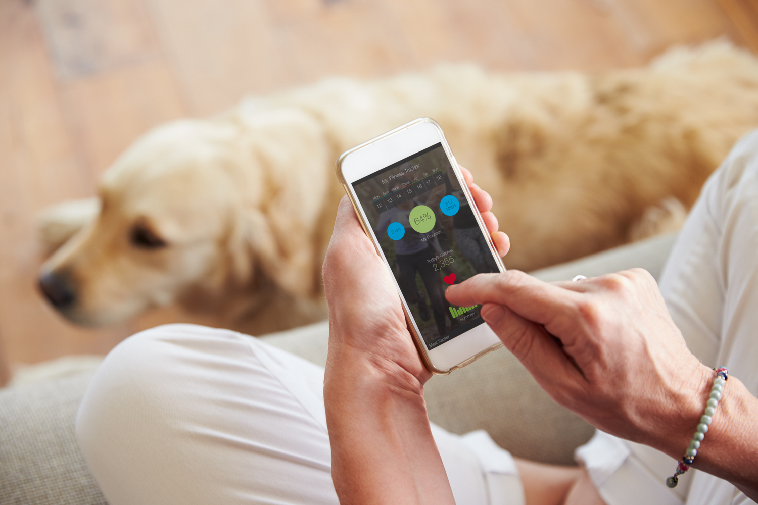 Top Tech Devices for Pets